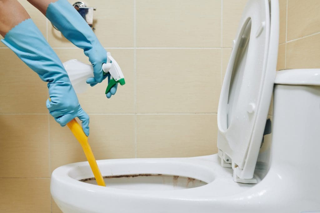 Person cleaning toilet